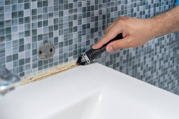 Best Mold Remediation  in Kendall, FL